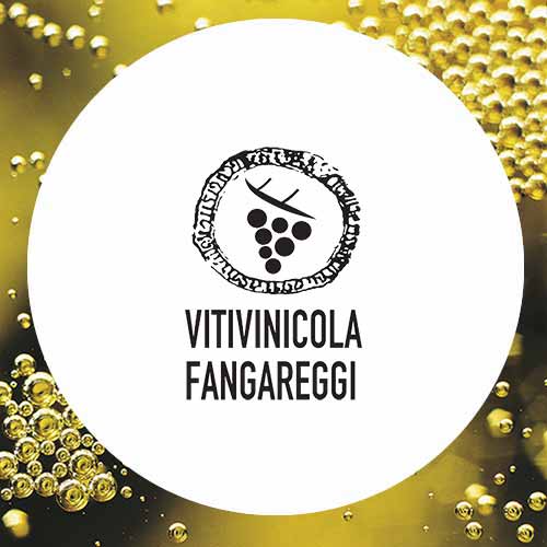 Fangareggi Vitivinicola