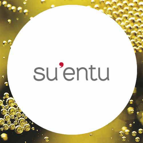 Su'Entu